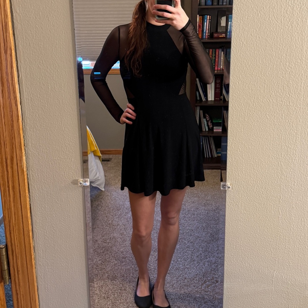 Black Mesh Long Sleeve Dress